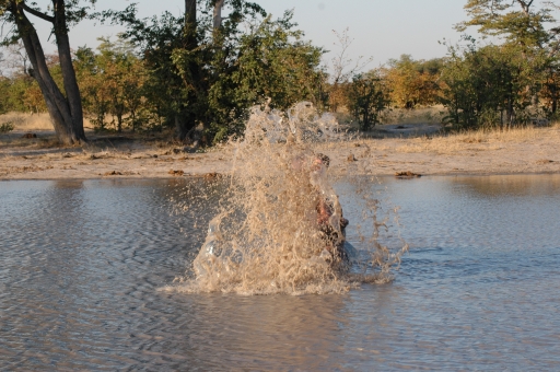 Water spout 